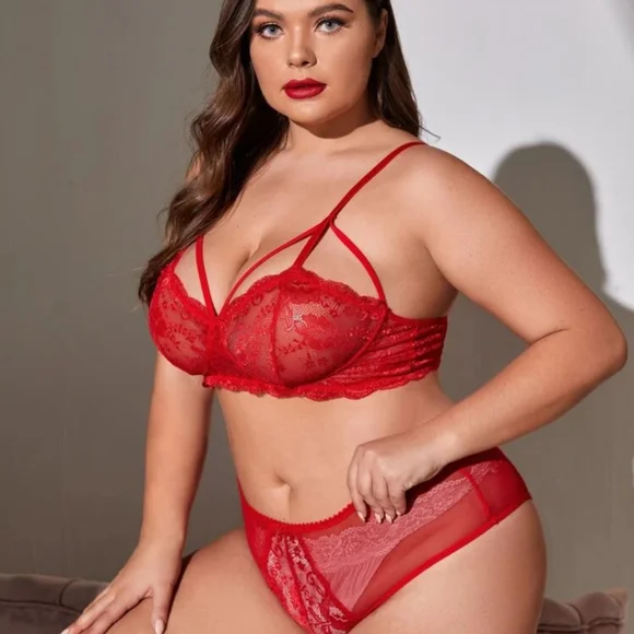 ***SOLD*** Plus Size Red Lace Mesh Lingerie Set - Picture 2 of 4